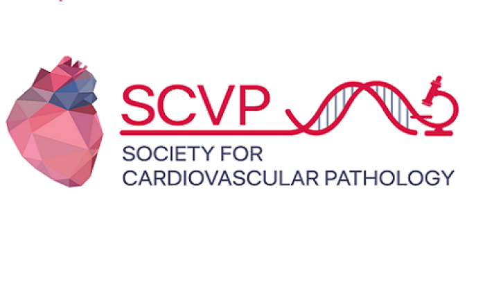 Prof.ssa Giulia D'Amati eletta presidente 2025 -2027 della SCVP - Society for Cardiovascular Pathology 